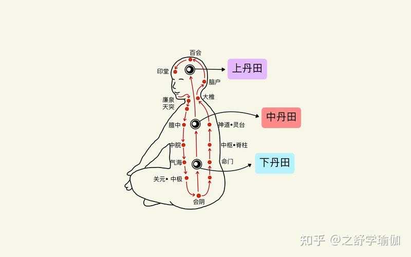 丹田位置图片：探索人体能量中心的奥秘